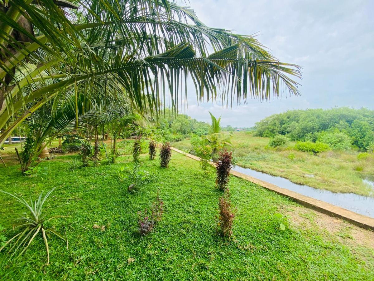 Hidden Garden Tangalle Buitenkant foto