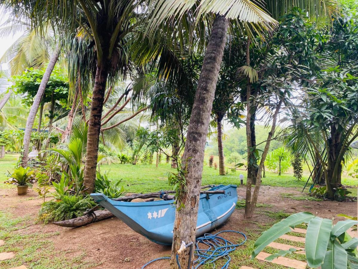 Hidden Garden Tangalle Buitenkant foto